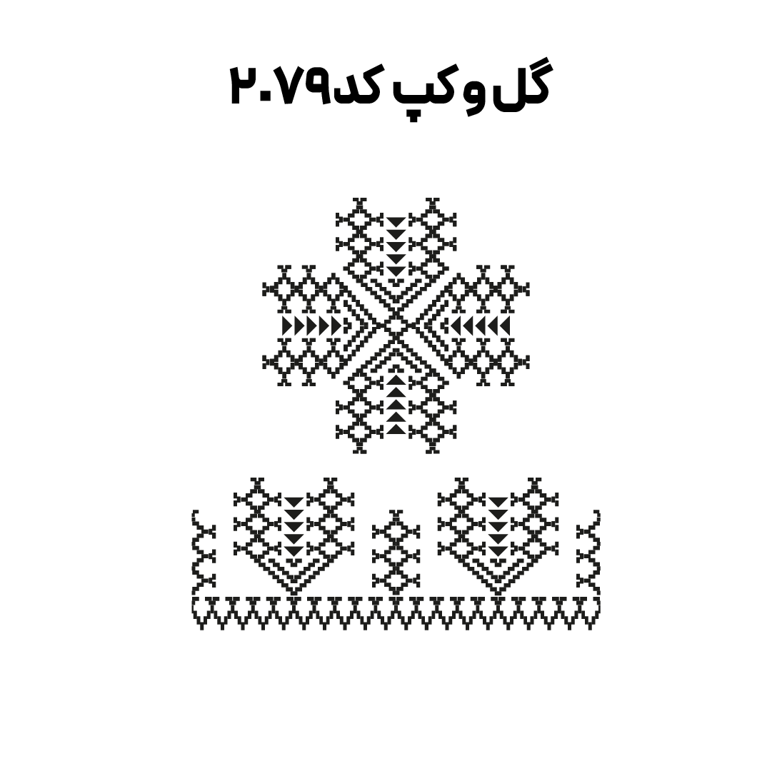 کد 2079