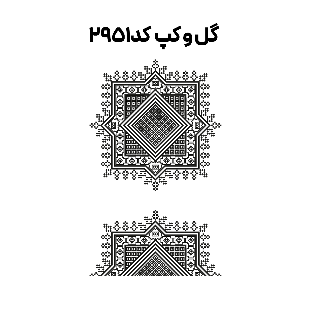 کد 2951