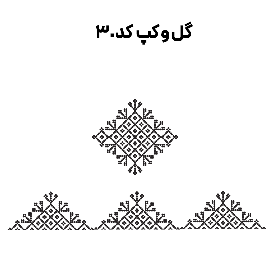کد 30