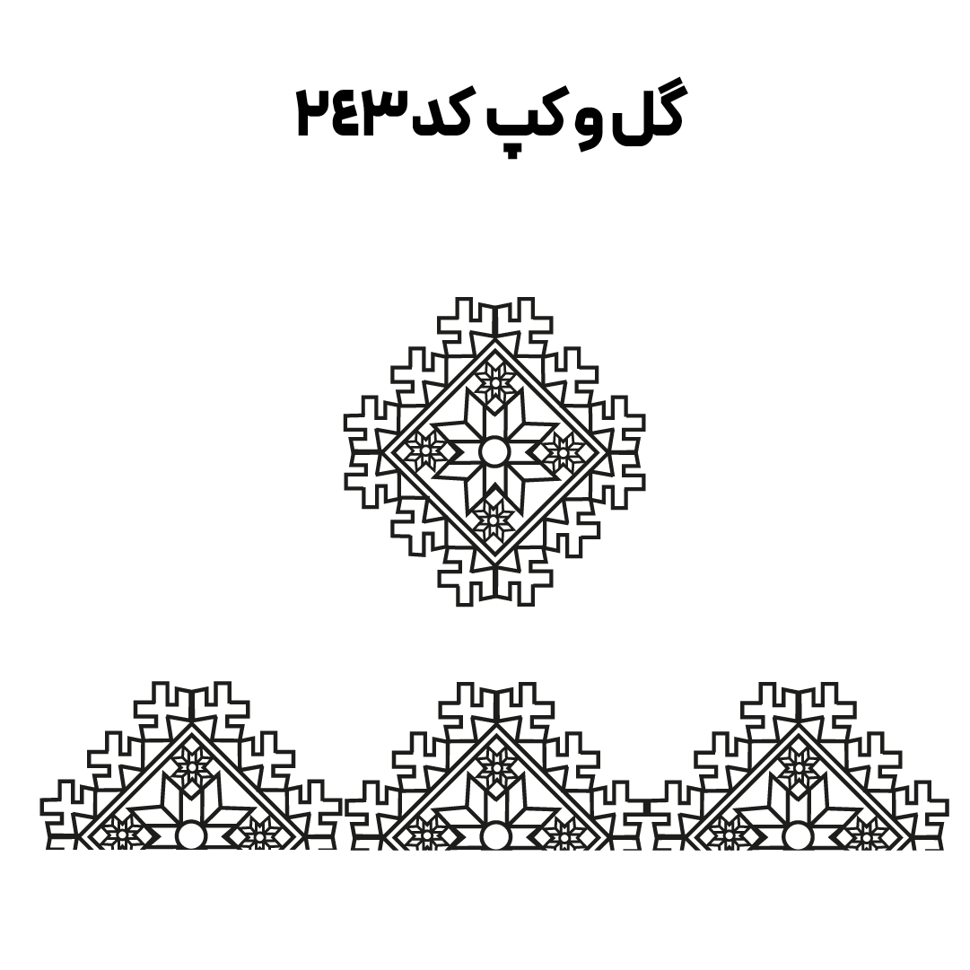 کد 243