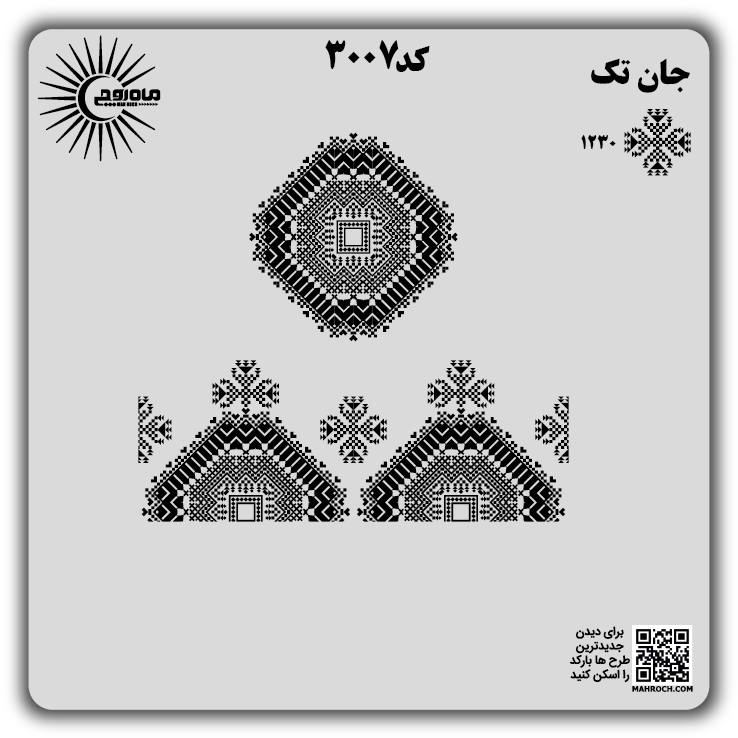 کد3007