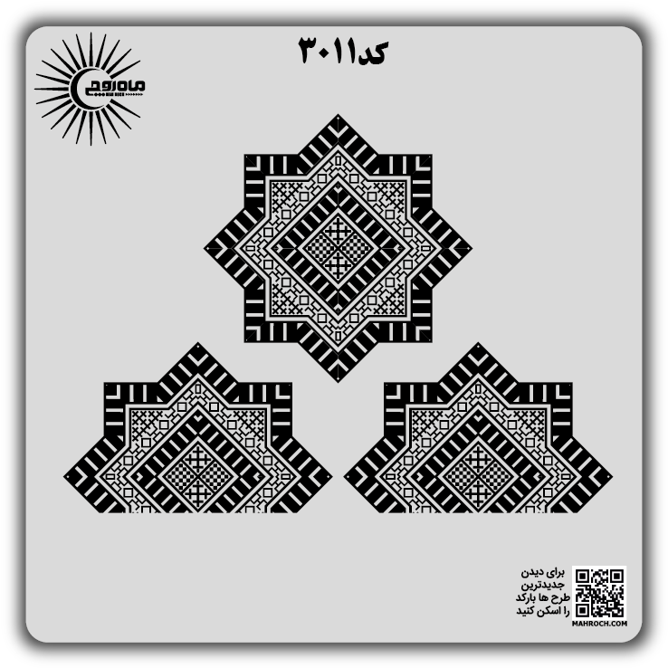 کد3011